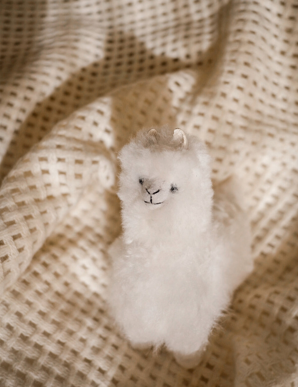 Alpaca teddy on sale